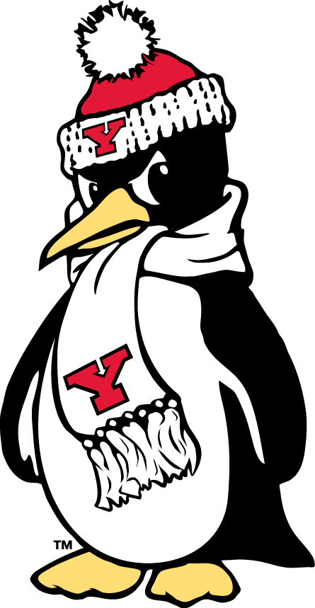 Youngstown State Penguins 1993-Pres Alternate Logo v4 diy DTF decal sticker